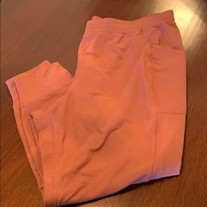 Fabletics Joggers - 1X